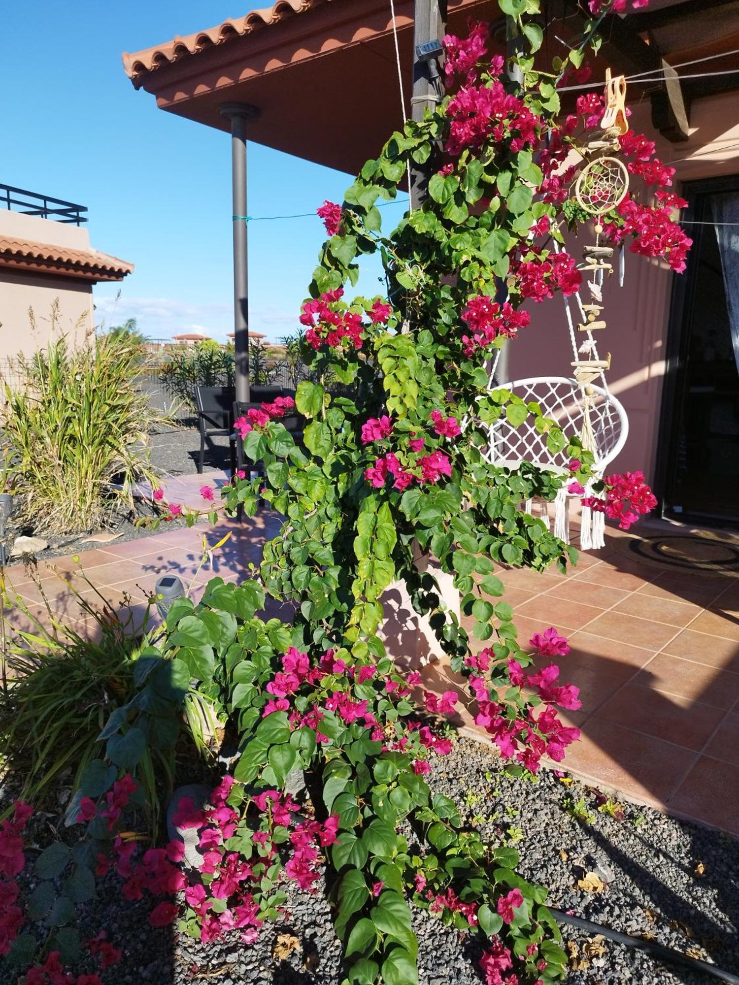 Lugar Del Alma Holiday home La Oliva